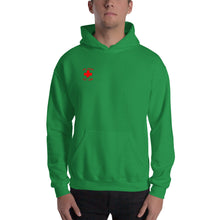 Load image into Gallery viewer, Jiynxd Crossing (Man) Unisex Pullover Hoodie