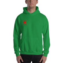 Load image into Gallery viewer, Watching You Hooded Sweatshirt
