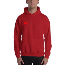 Load image into Gallery viewer, Watching You Hooded Sweatshirt
