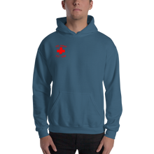 Load image into Gallery viewer, Trust me I&#39;m A Pharmacist No Zip Hooded Sweatshirt
