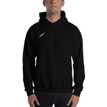 Load image into Gallery viewer, Who&#39;s Afraid? Wolf Hooded Sweatshirt
